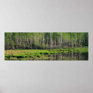 The Emerald Forest Poster