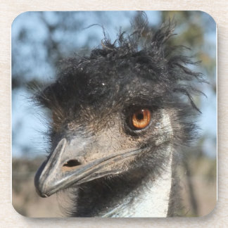 The Emu Coaster