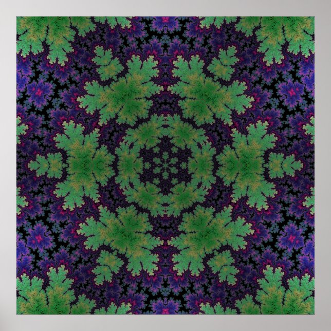 The Enchanted Fern Wheel  Poster (Front)