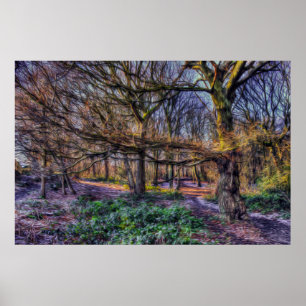 The Enchanted Forest 1 Poster