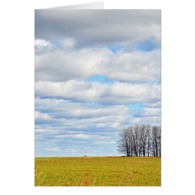 The end of the tree line (Front)