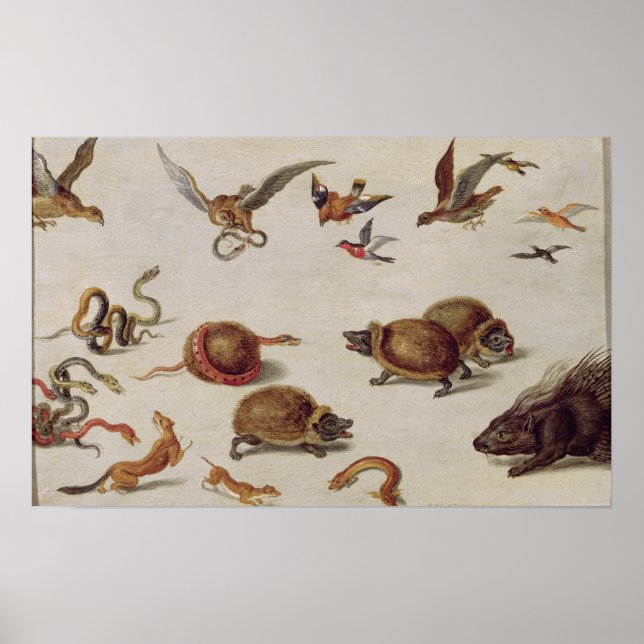 The Enemies of Snakes Poster (Front)