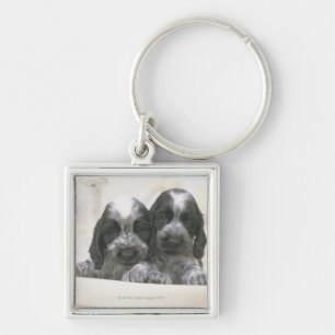 The English Cocker Spaniel is a breed of dog. It Key Ring