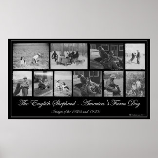 The English Shepherd - America's Farm Dog Poster