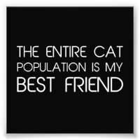 The Entire Cat Population Is My Best Friend