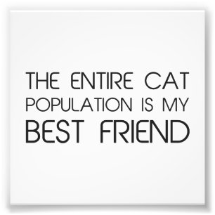 The Entire Cat Population Is My Best Friend Photo Print