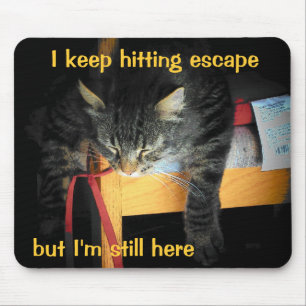 The Escape Button Is Not Working Sad Cat Mouse Pad