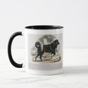 The Esquimaux Dog (Canis familiaris) educational i Mug