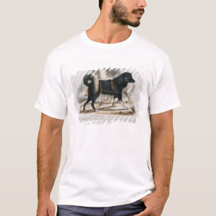 The Esquimaux Dog (Canis familiaris) educational i T-Shirt