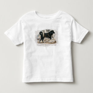 The Esquimaux Dog (Canis familiaris) educational i Toddler T-Shirt