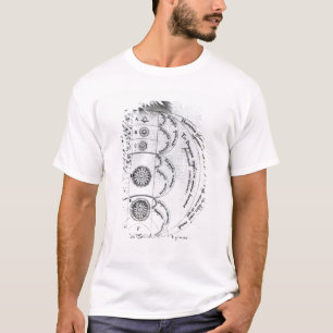 The Essential Harmony T-Shirt