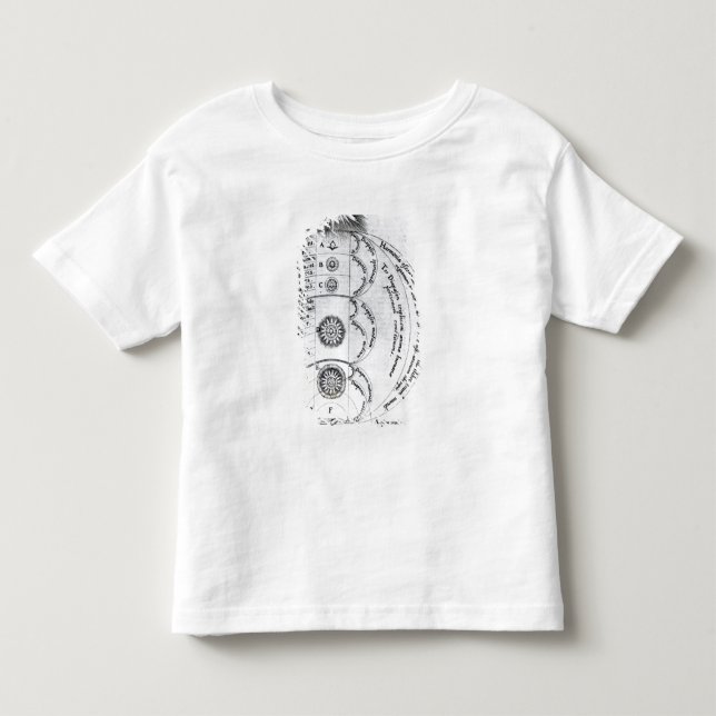 The Essential Harmony Toddler T-Shirt (Front)