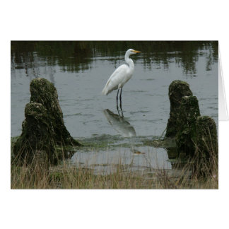 The Estuary at Pajaro Dunes