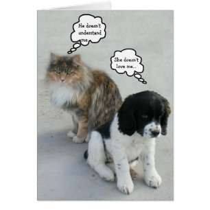 The eternal Misunderstanding...