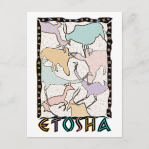 The Etosha Postcard