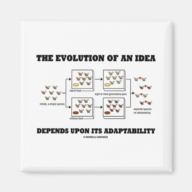 The Evolution An Idea Depends Upon Adaptability Magnet (Front)