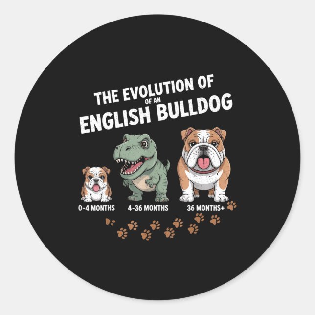 The Evolution Of An English Bulldog Funny  Classic Round Sticker (Front)