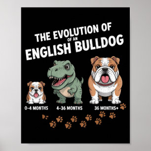 The Evolution Of An English Bulldog Funny  Poster