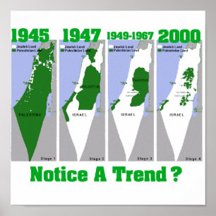 The Evolution of Palestine Poster