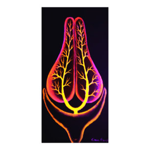 The excretory system of a fish photo print