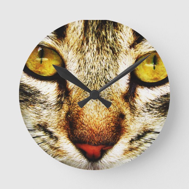 The expressive look of a domestic cat round clock (Front)