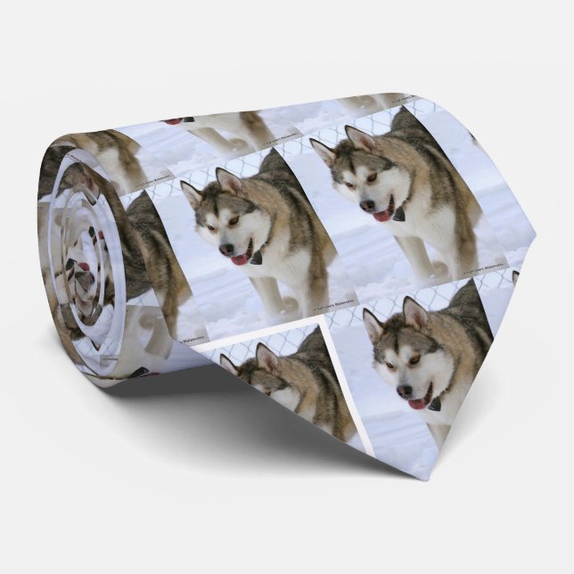 THE EXTREME **HUSKY** BEAUTY TIE (Rolled)