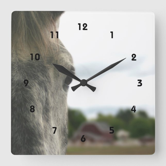 The Eye Of A Horse Animal Square Wall Clock (Front)