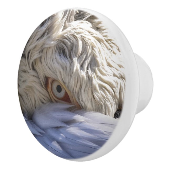 The Eye of a Pelican Ceramic Knob (Right)