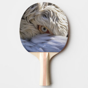 The Eye of a Pelican Ping Pong Paddle