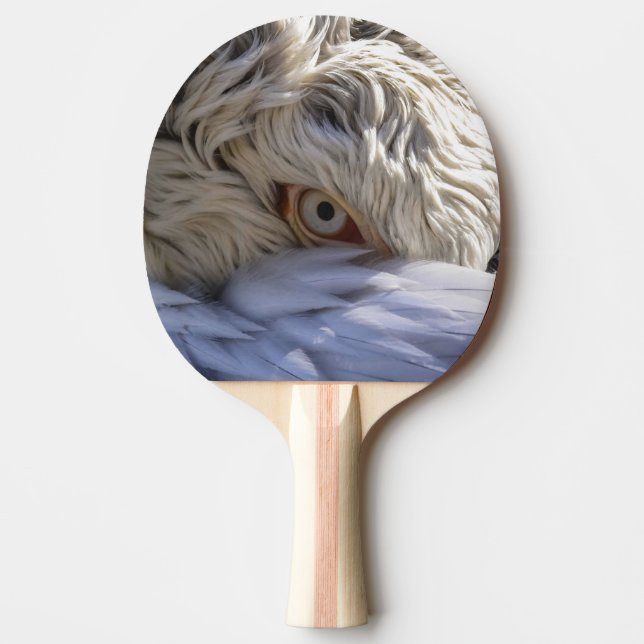 The Eye of a Pelican Ping Pong Paddle (Front)