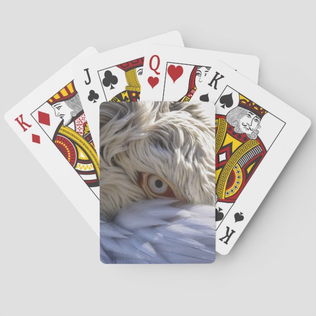 The Eye of a Pelican Playing Cards (Back)
