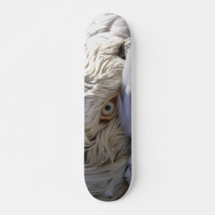 The Eye of a Pelican Skateboard
