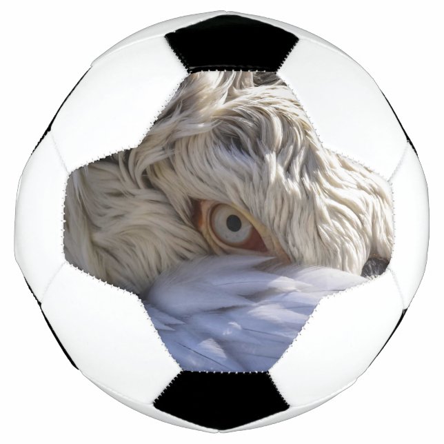 The Eye of a Pelican Soccer Ball (Front)