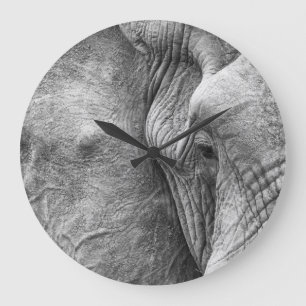 The eye of an elephant large clock