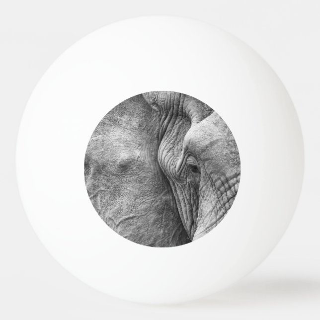 The eye of an elephant ping pong ball (Front)