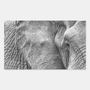 The eye of an elephant rectangular sticker