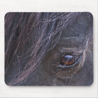 The Eye of the Horse Mouse Pad