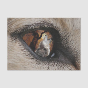 The Eye of the Wolf Tissue Paper