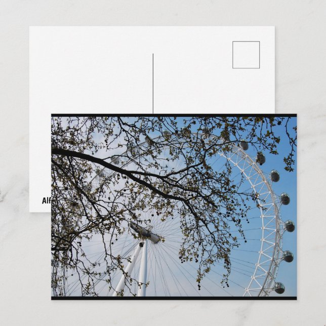 The Eye through Autumn Leaves Postcard (Front/Back)