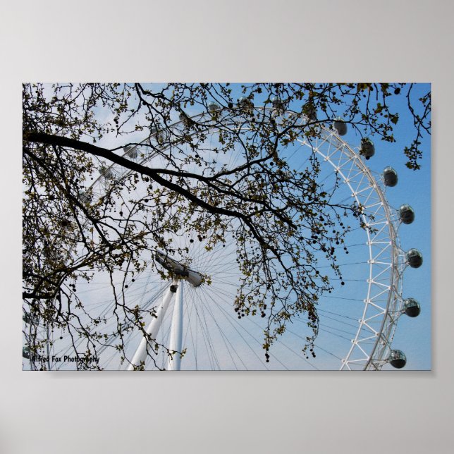 The Eye through Autumn Leaves Poster (Front)