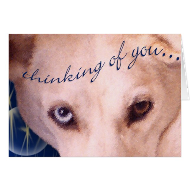 The eyes have it! (Front Horizontal)