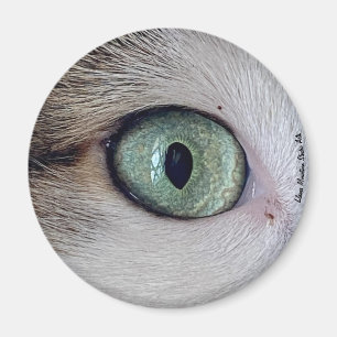 "The Eyes Have It" cat eye magnet