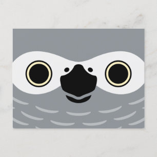 The face of a African Grey Parrot Holiday Postcard