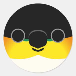 The face of a Black-headed Caique Classic Round Sticker