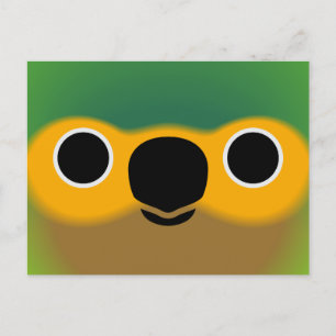 The face of a Brown-throated parakeet Holiday Postcard