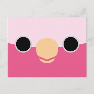 The face of a Galah Holiday Postcard