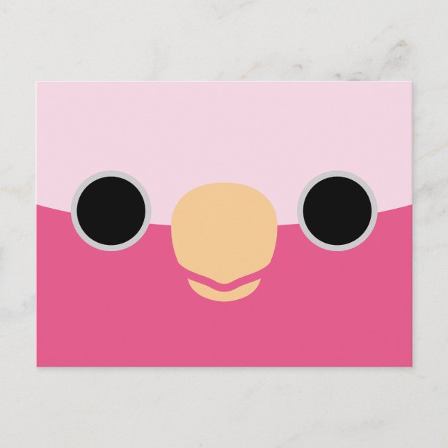 The face of a Galah Holiday Postcard (Front)