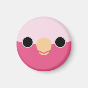 The face of a Galah Magnet