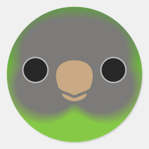 The face of a Meek's Pygmy Parrot Classic Round Sticker