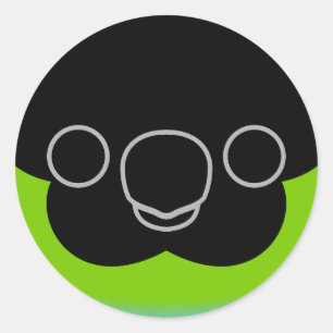 The face of a Nanday parakeet Classic Round Sticker